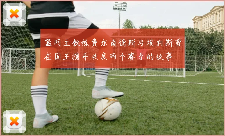 篮网主教练费尔南德斯与埃利斯曾在国王携手共度两个赛季的故事