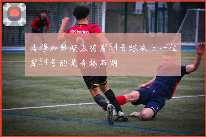 马穆加盟湖人将穿54号球衣上一位穿54号的是夸梅布朗