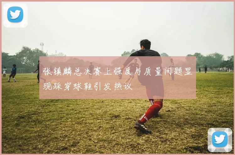 张镇麟总决赛上强度与质量问题显现踩穿球鞋引发热议